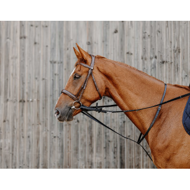 Norton Pro Thiedeman Hilfszügel Norton Pro Thiedeman Hilfszügel