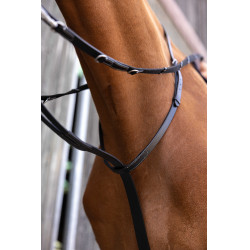 Norton Pro Thiedeman Hilfszügel Norton Pro Thiedeman Hilfszügel