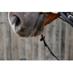 Norton Pro Thiedeman Hilfszügel Norton Pro Thiedeman Hilfszügel