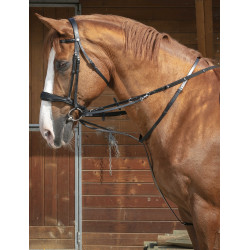 Norton Pro Thiedeman Hilfszügel Norton Pro Thiedeman Hilfszügel