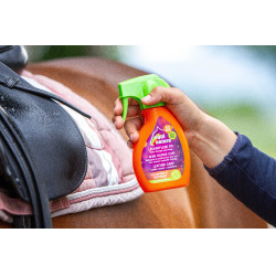 Schnelle Lederpflege Equinatura