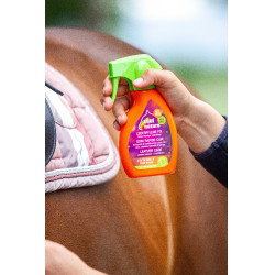 Schnelle Lederpflege Equinatura