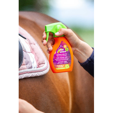 Schnelle Lederpflege Equinatura