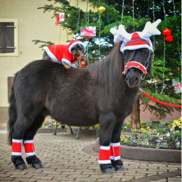 Weihnachts-Mütze Ohren in Rentiergeweih-Form Weihnachts-Mütze Ohren in Rentiergeweih-Form