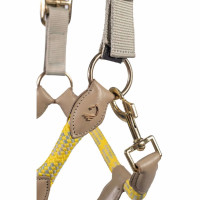 Lauria Garrelli Limone Sportive Halfter