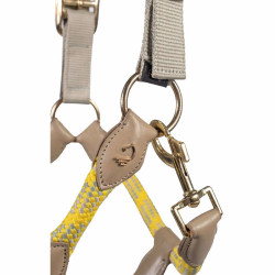 Lauria Garrelli Limone Sportive Halfter