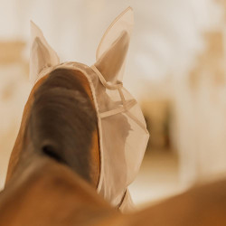 Klassische Fliegenmaske mit Ohren und Nasenschutz Kentucky Klassische Fliegenmaske mit Ohren und Nasenschutz Kentucky