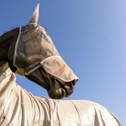 Klassische Fliegenmaske mit Ohren und Nasenschutz Kentucky Klassische Fliegenmaske mit Ohren und Nasenschutz Kentucky