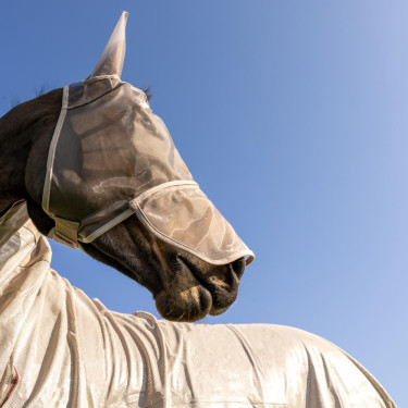 Klassische Fliegenmaske mit Ohren und Nasenschutz Kentucky Klassische Fliegenmaske mit Ohren und Nasenschutz Kentucky