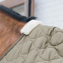 Transport Combo Cooler Fleece Kentucky