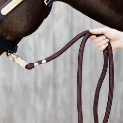 Anti-Panik-Führstrick Kentucky