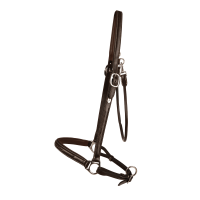 Putzhalfter Working By Dy'on Braun