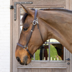 Putzhalfter Working By Dy'on