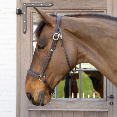 Putzhalfter Working By Dy'on