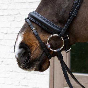 Flex-Hard-Velari-Ringgebiss