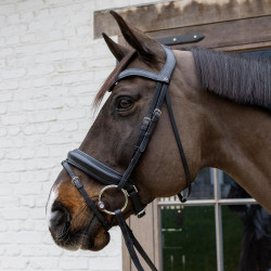 Flex-Hard-Velari-Ringgebiss