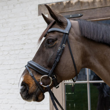 Flex-Hard-Velari-Ringgebiss