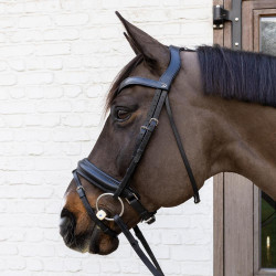 Flex Soft Velari Olivenkopfgebiss