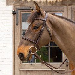 Olivenkopfgebiss Flex Hard Velari