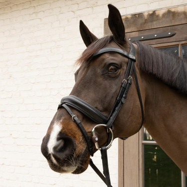 Olivenkopfgebiss Flex Hard Velari