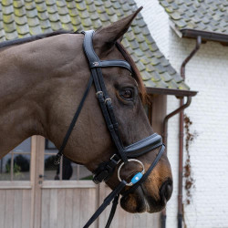 Olivenkopfgebiss Flex Medium Velari