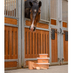 Waldhausen Getreideschaufel
