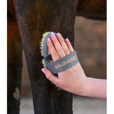 Wurzelbürste Waldhausen Flex