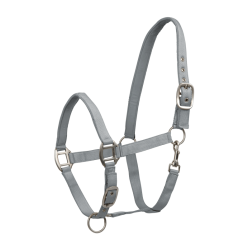 Waldhausen Satin Halfter