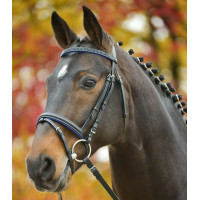 Bridon Star Diamond