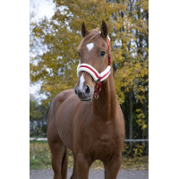 Norton Komfort Halfter Rot