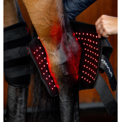 Horseware LED-Rotlicht-Therapie-Sprunggelenkschutz
