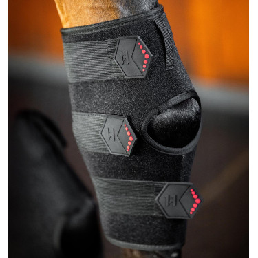 Horseware LED-Rotlicht-Therapie-Sprunggelenkschutz