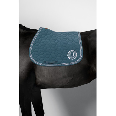 Satteldecke Harcour Blake