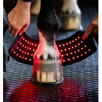 Mini-Therapiegamasche von Horseware mit rotem LED-Licht