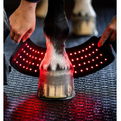 Mini-Therapiegamasche von Horseware mit rotem LED-Licht