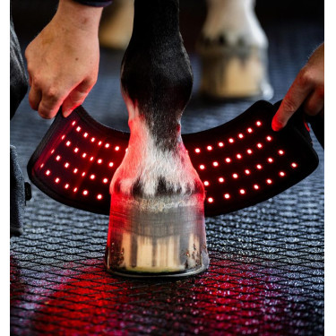Mini-Therapiegamasche von Horseware mit rotem LED-Licht