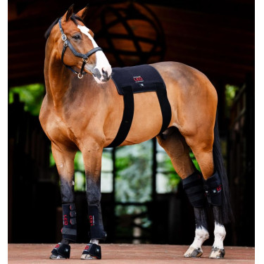 Mini-Therapiegamasche von Horseware mit rotem LED-Licht