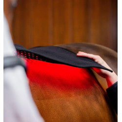 Horseware LED-Rotlicht-Therapiepad