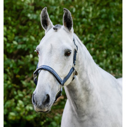 Horseware-Putzhalfter