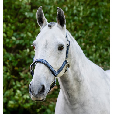 Horseware-Putzhalfter