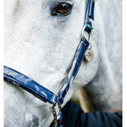 Horseware-Putzhalfter