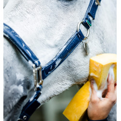 Horseware-Putzhalfter