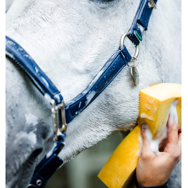 Horseware-Putzhalfter