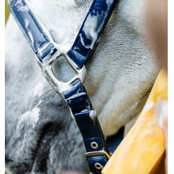 Horseware-Putzhalfter