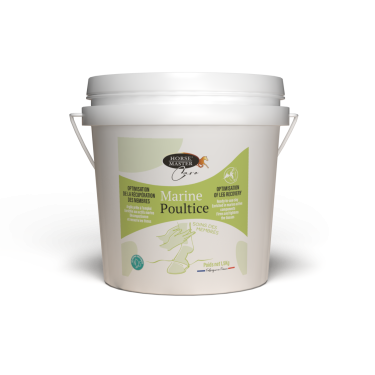 Meerestonerde-Paste Horse Master