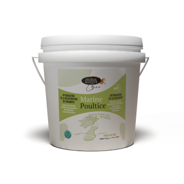 Meerestonerde-Paste Horse Master