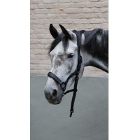 Lami-Cell Flexicare Halfter