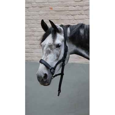 Lami-Cell Flexicare Halfter