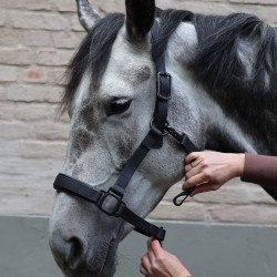 Lami-Cell Flexicare Halfter