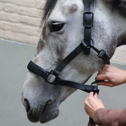 Lami-Cell Flexicare Halfter